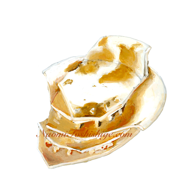 Aa11_No.718_2023, White, Glaze, Fragments, Unknown collection