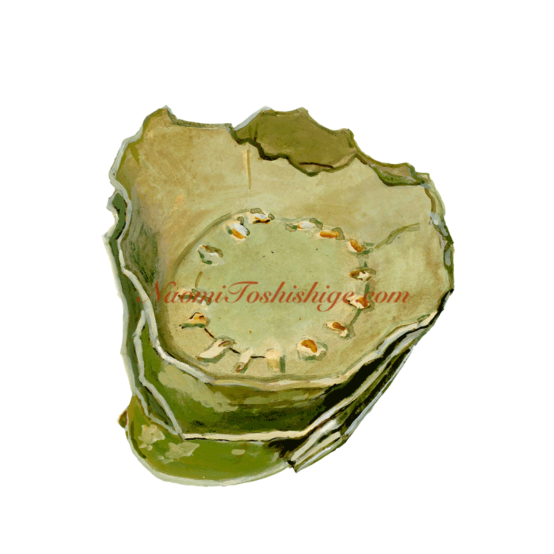 Aa11_No.719_2023, Greenish Glaze, Fragments, Unknown collection