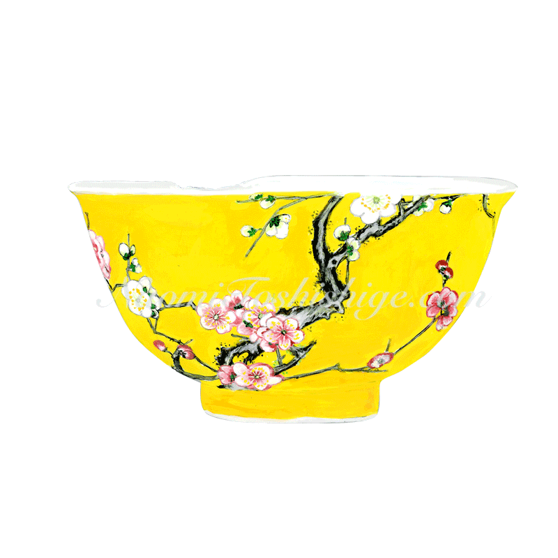 Aa11_No.750_2023, Falangcai (Enamel Colours), Palace Bowl National Palace Museum collection, China